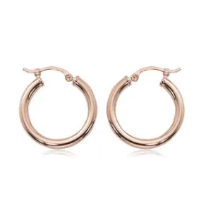 2.5x20mm Hoop Earrings