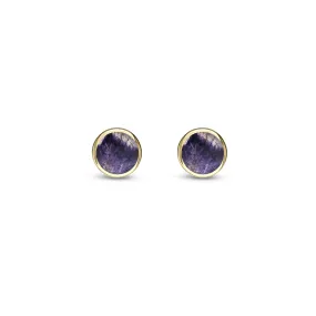 9ct Yellow Gold Blue John 4mm Stud Earrings