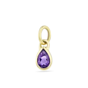 Amethyst Charm