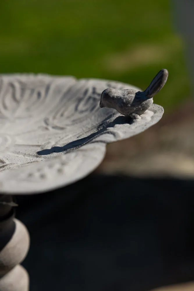 Beautiful Bird Bath On Stand