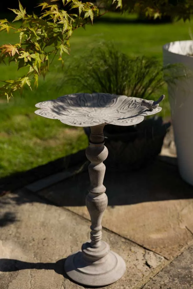 Beautiful Bird Bath On Stand