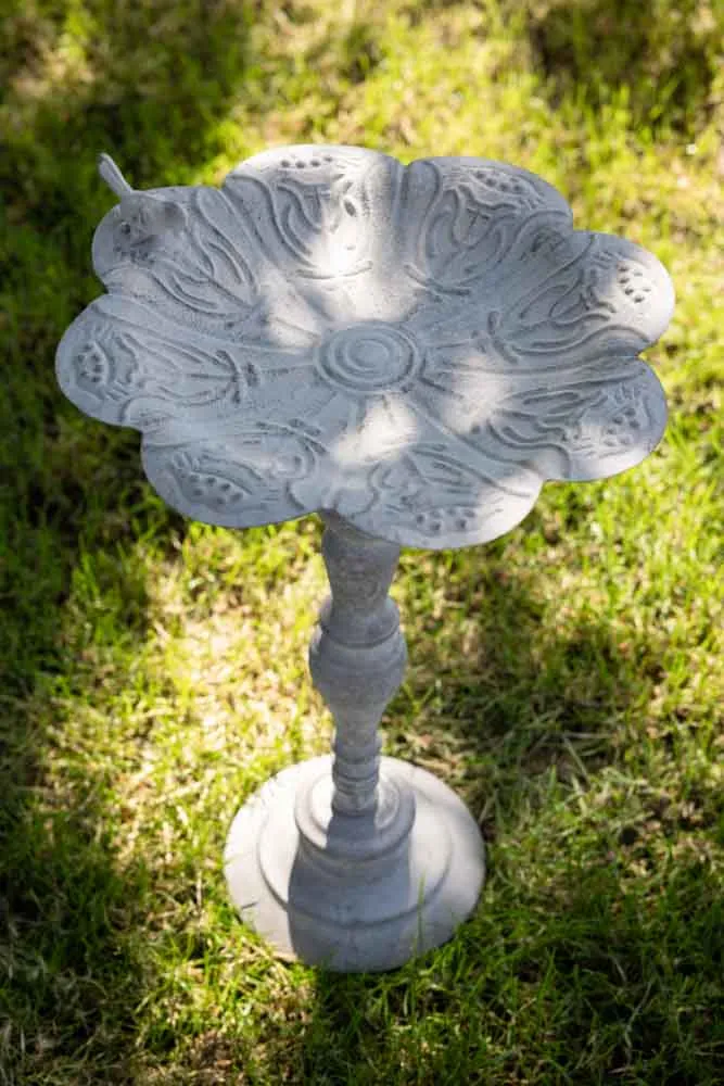 Beautiful Bird Bath On Stand