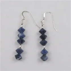 Sodalite Gemstone Bead Earrings